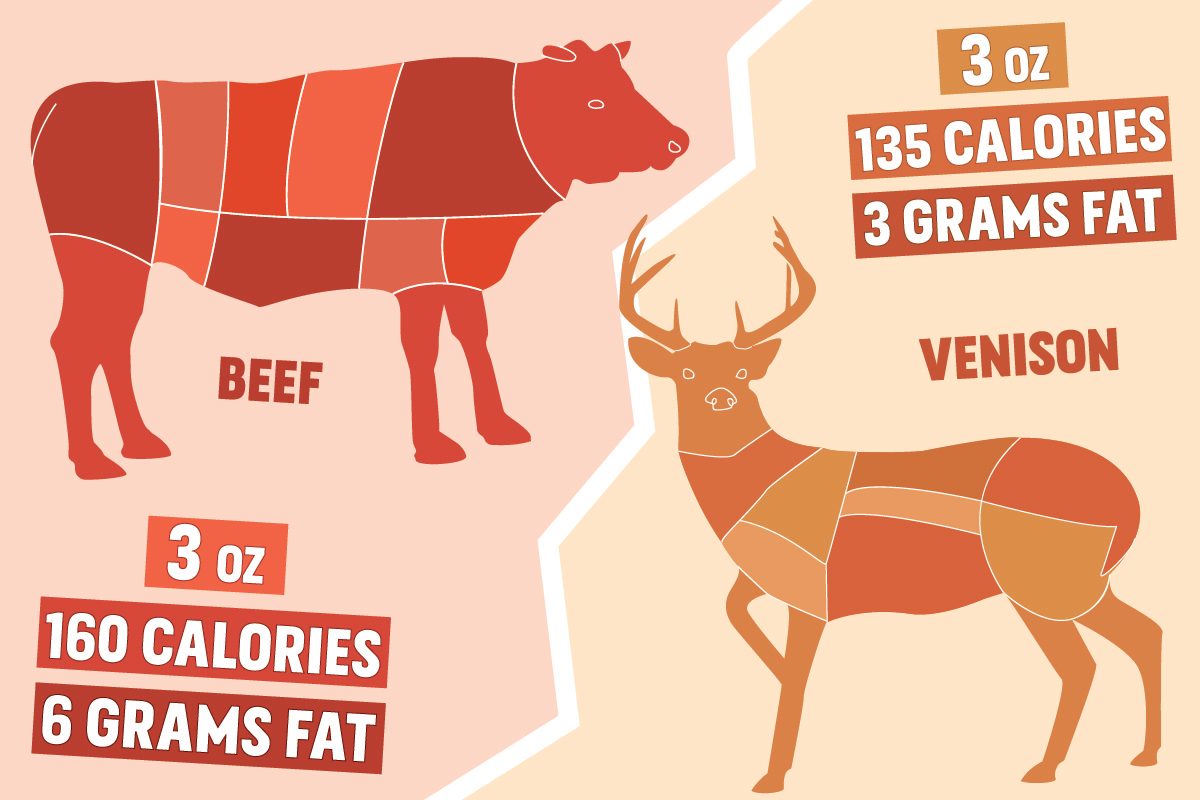 Brawl udstilling Optimistisk Venison vs Beef: Which Is Healthier?