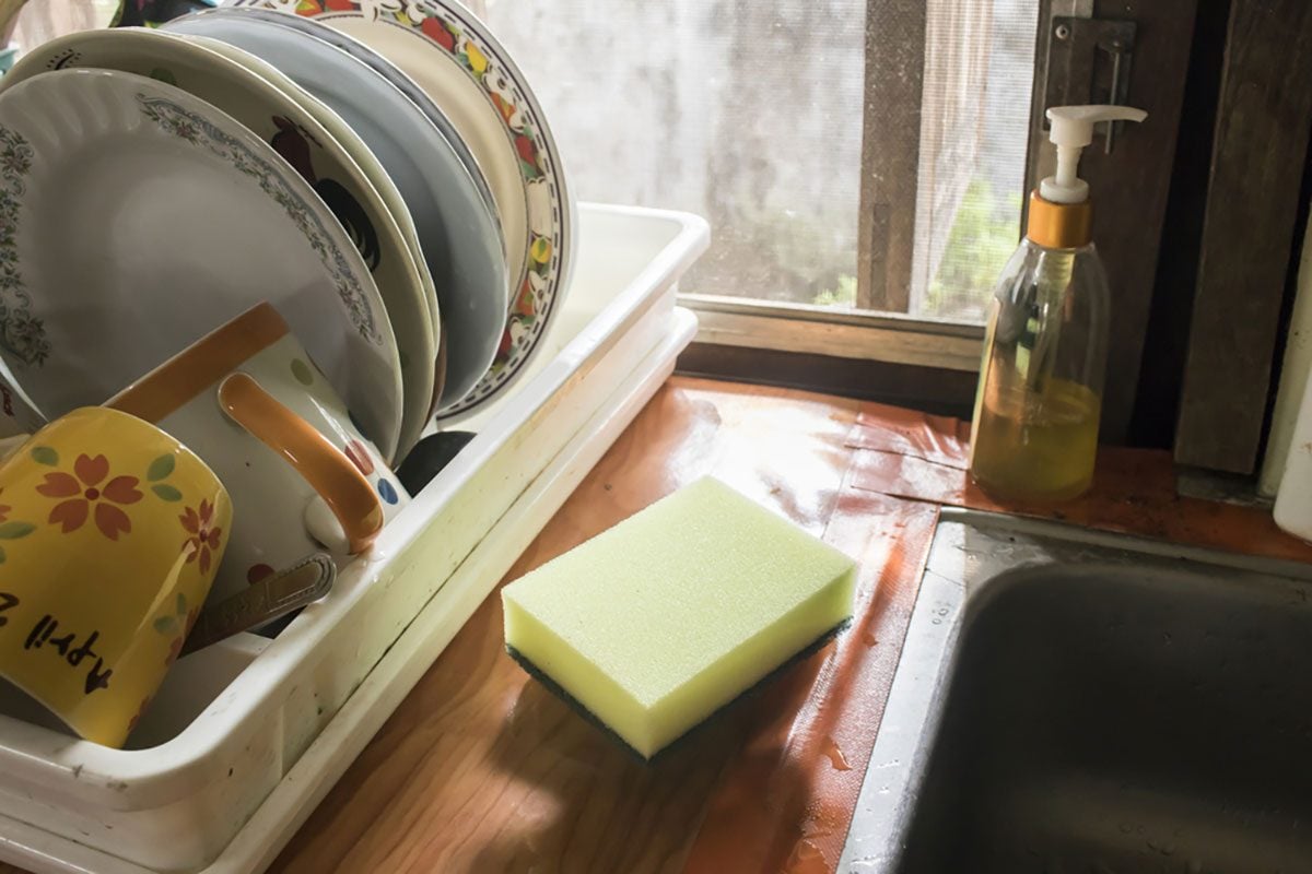 The Last Thing You Should Do With a Kitchen Sponge
