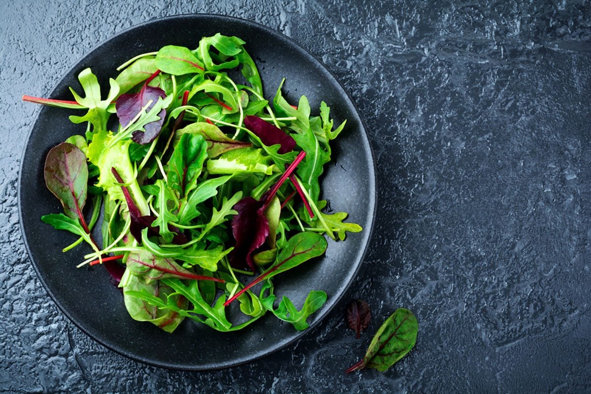 STL Chopped Salad: Romaine Lettuce (Good Life Growing), Iceburg