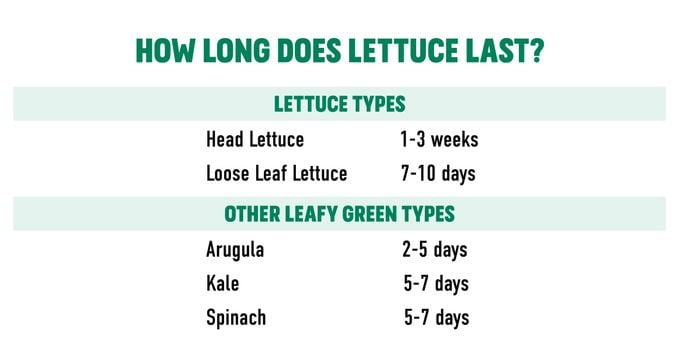 Lettuce-chart-social-1200x630