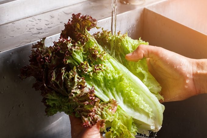 Man's hands washing lettuce leaves. Water flowing on red lettuce.