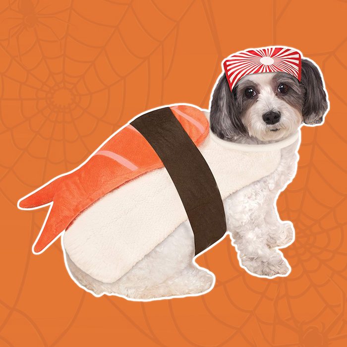 Sushi puppy