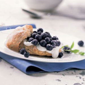 Fresh Blueberry Shortcakes