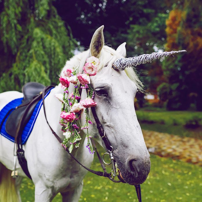 Horse dressed as a unicorn with the horn. Ideas for photoshoot. Wedding. Party. Outdoor; Shutterstock ID 684581434