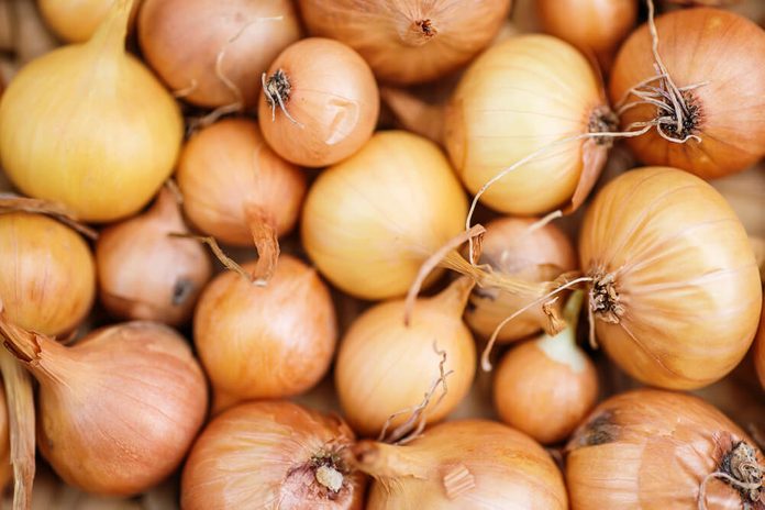 Ripe onions. Onions in market