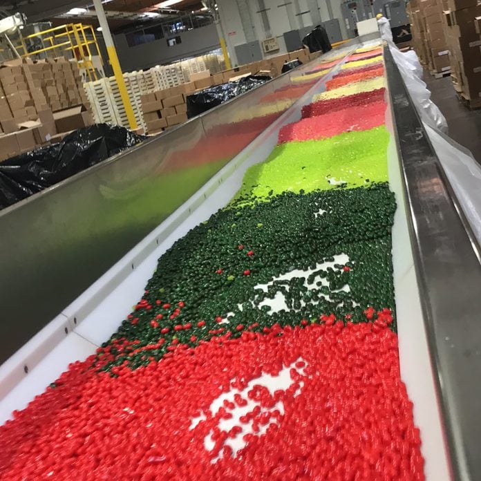 jelly belly beans in the factory