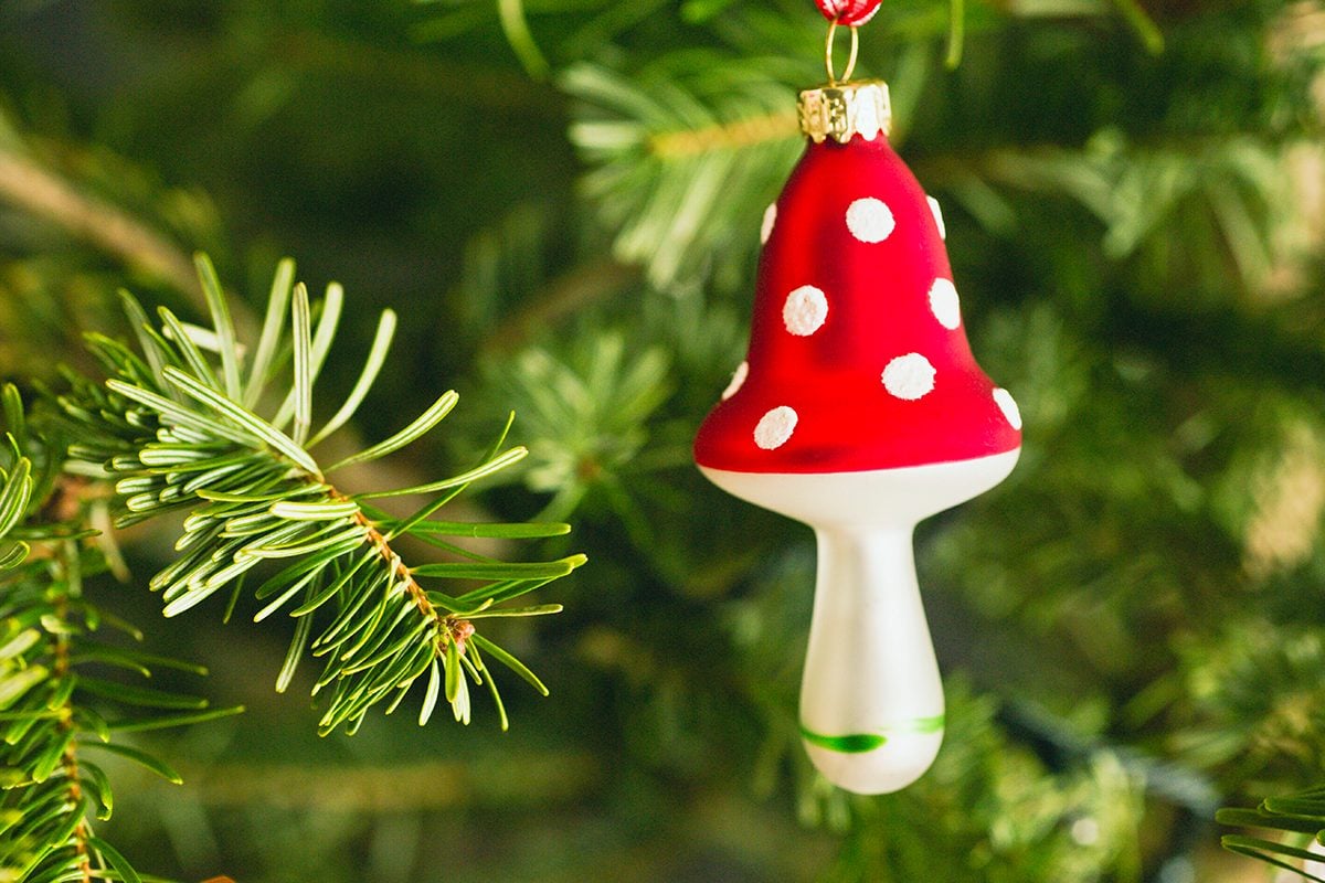 What Is a Christmas Mushroom and Why Your Christmas Tree Needs One