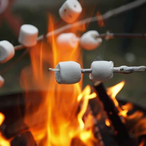 Multiple marshmallows extended over a camp fire to roast
