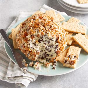 Chocolate Chip Cheese Ball