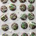 Easy Mint Thins