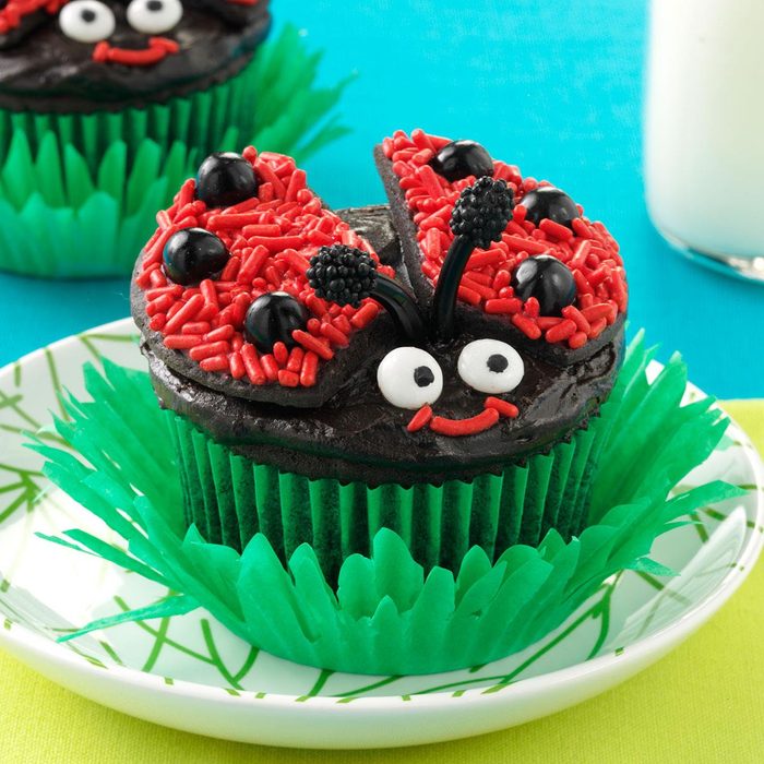 Lady Bug Chocolate Cupcakes