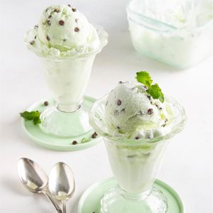 Mint Chip Ice Cream Exps Ft21 15301 F 0407 1 2