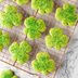 Shamrock Cookies