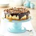 Simple Turtle Cheesecake