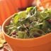 Pumpkin Seed Spinach Salad