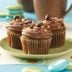 Spice Cupcakes with Mocha Frosting