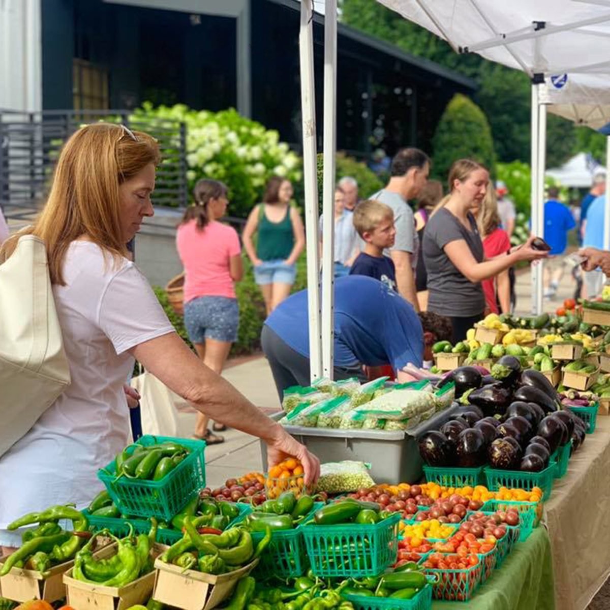 Outdoor Market