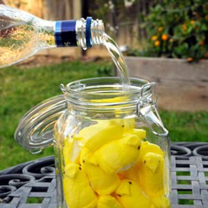 Peeps in a jar with vodka being poured over them