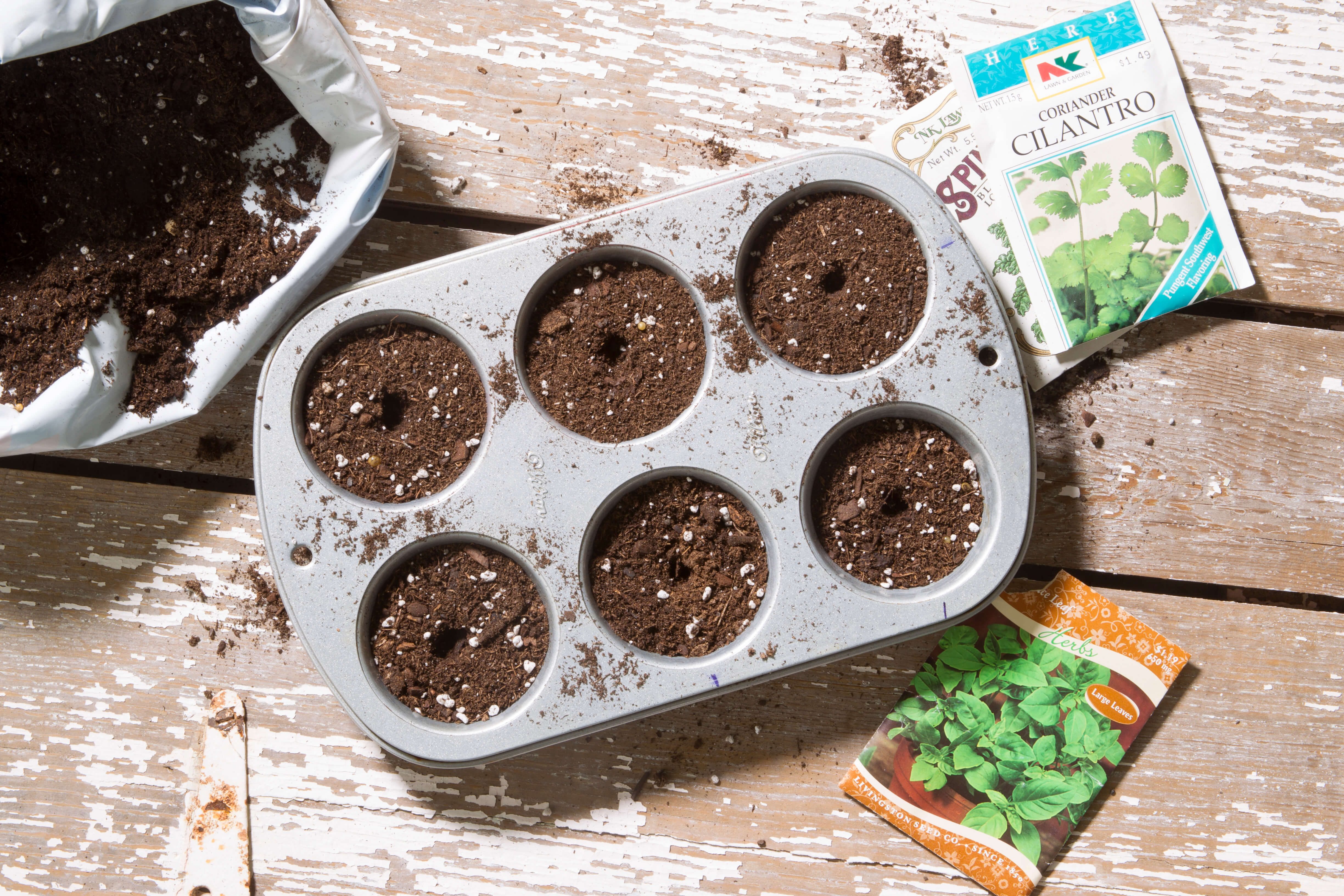 Plant Starting Tray or Seed Starting Tray with a Muffin Pan