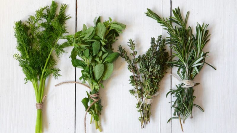 Culinary Herb Chart