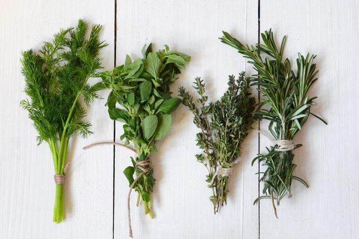 Mixed fresh herbs, Thyme,Dill, Rosemary and Oregano