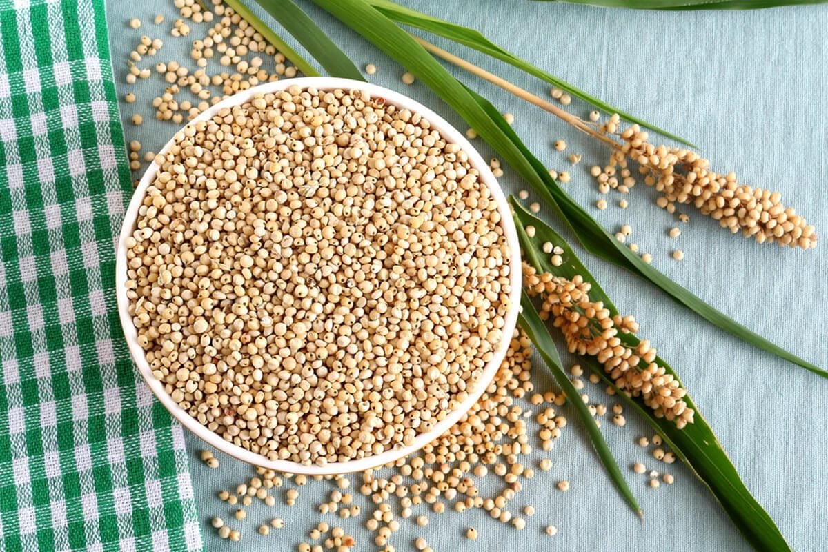 9 Kelebihan Sourgum: Makanan Sehat Pengganti Nasi