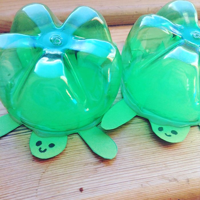 Soda bottle turtles