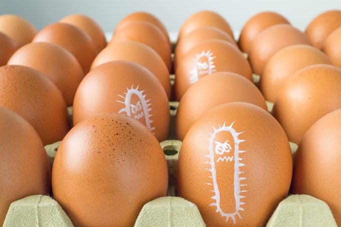 Salmonella bacterium drawn on the chicken eggs