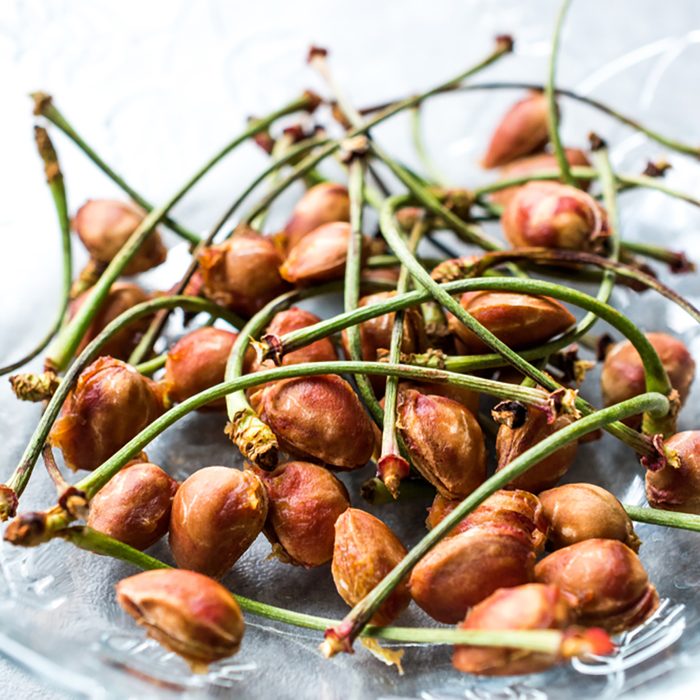 Cherry Seeds with Stalks / Fruit Garbage