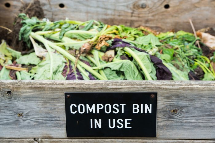 Compost bin