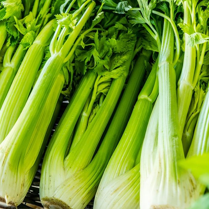 Heads of celery. Close-up