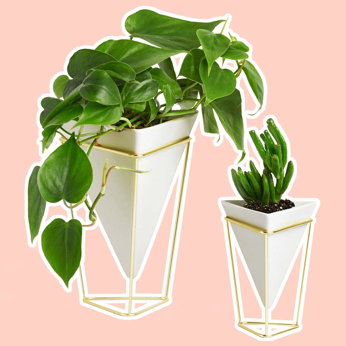 Umbra Trigg Desktop Planter Vase & Geometric Container - Great For Succulent Plants, Air Plant, Mini Cactus, Faux Plants and More, White Ceramic/Brass (Set of 2)