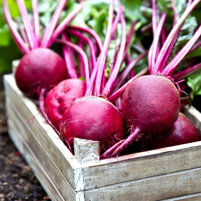 Freshly picked beetroots in wooden tray.