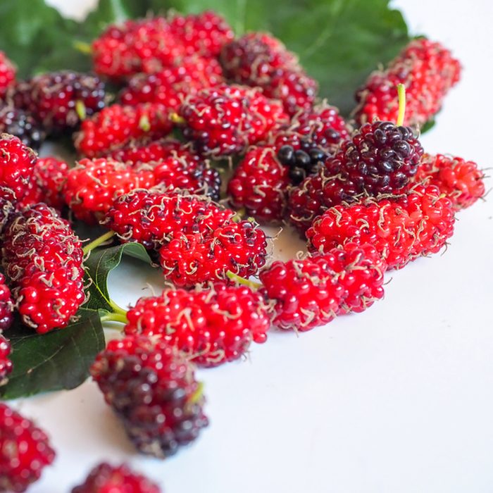 Red mulberry on white background