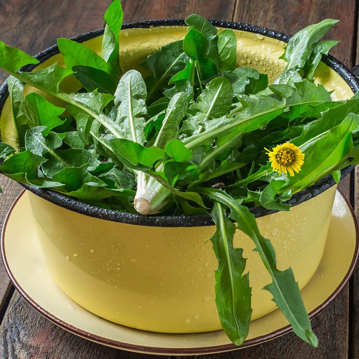 How To Cook Dandelions And Why You, What Decor Does Dandelion Want