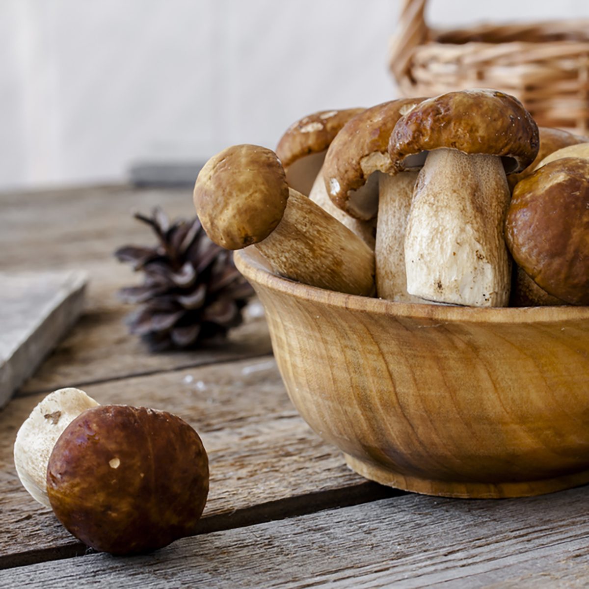 group of porcini mushrooms on wooden background