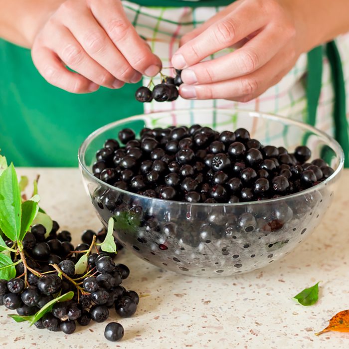 A Woman Picking Chokeberries (Aronia) off the Twig in the Kitchen