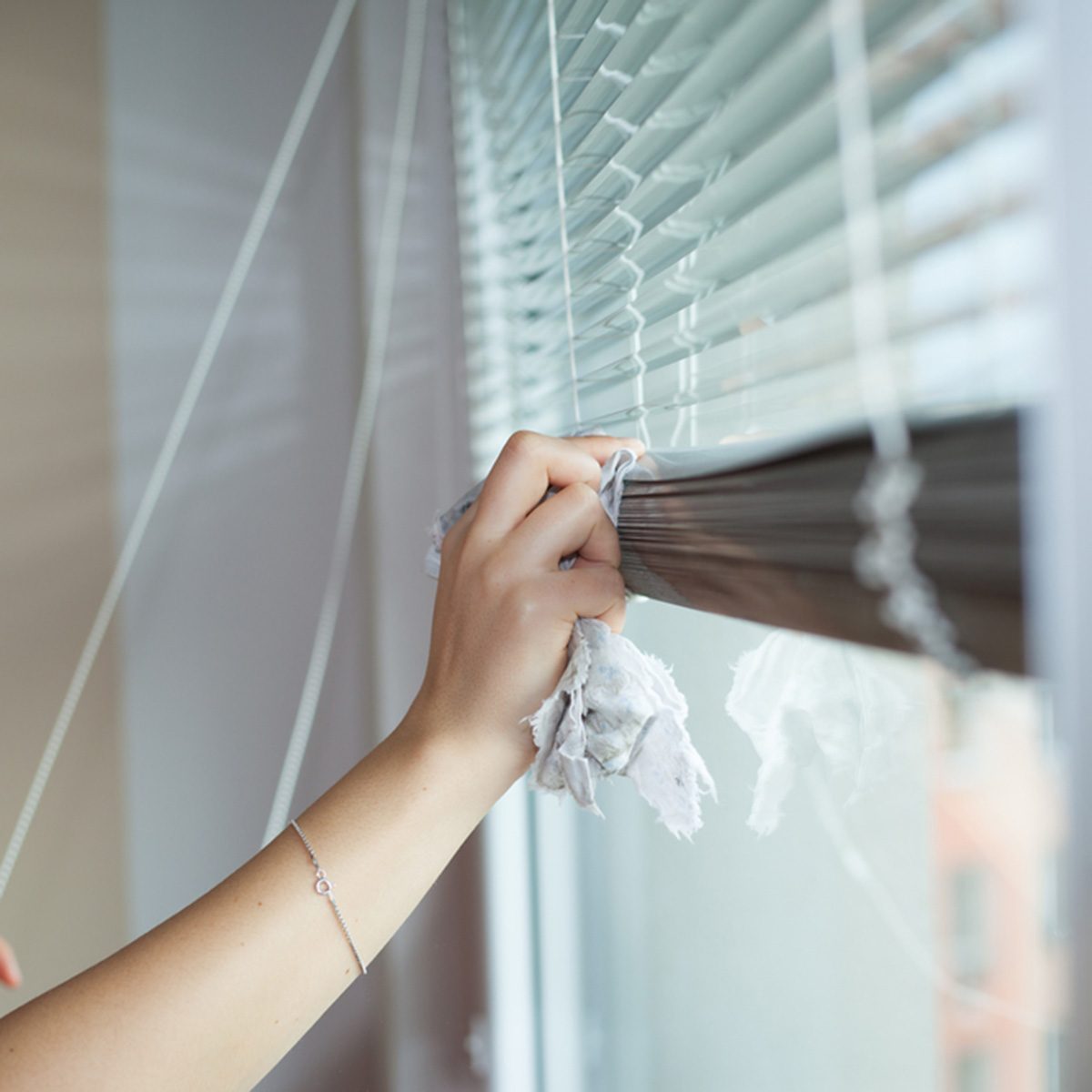 Hand of young woman cleaning blinds by cloth; housework (vignette); Shutterstock ID 506189770; Job (TFH, TOH, RD, BNB, CWM, CM): Taste of Home