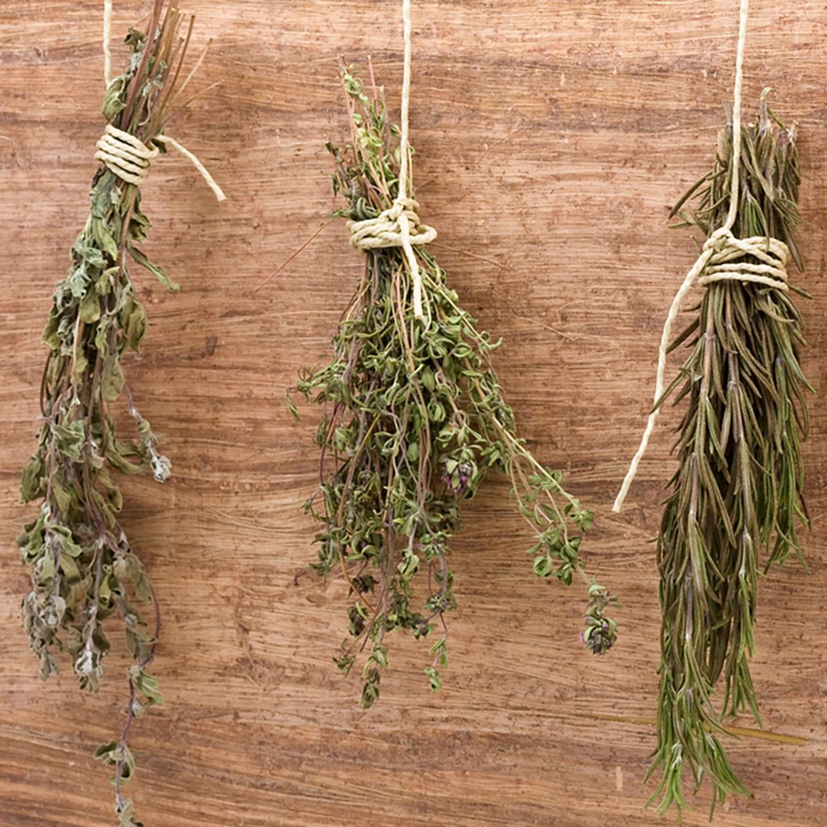 how-to-dry-herbs-taste-of-home