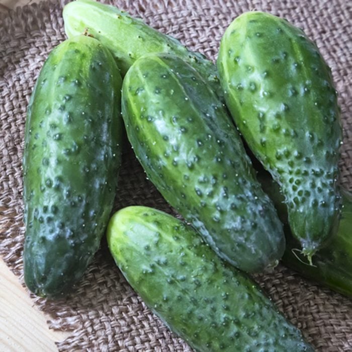 Cucumbers on a napkin on the table