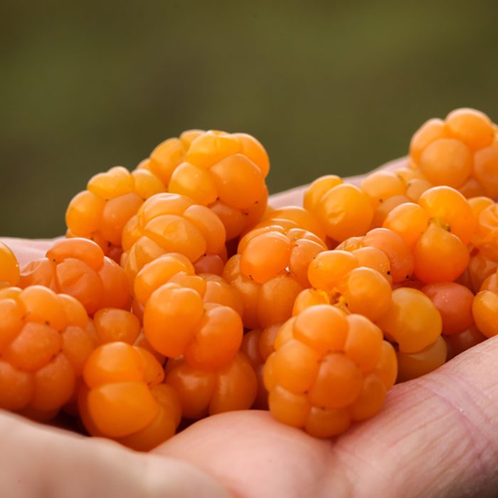 ripe cloudberry forest gifts