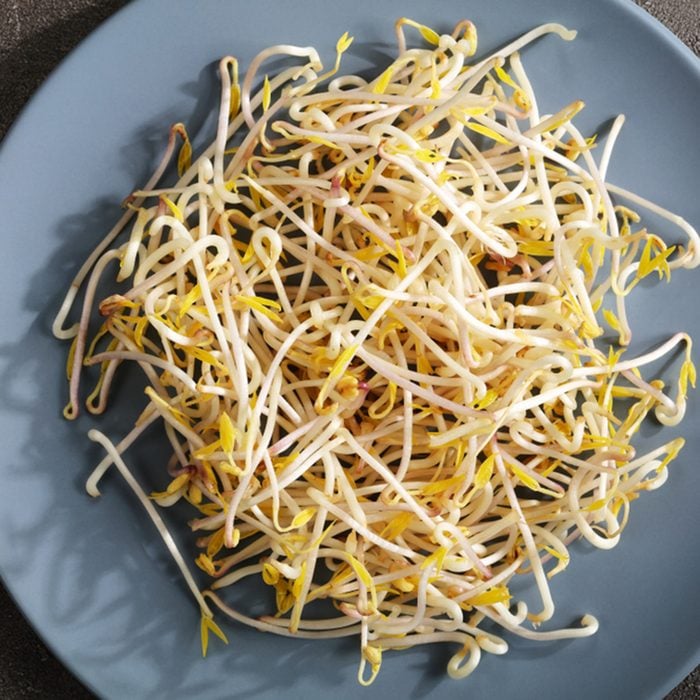 freshly grown mung Bean Sprouts on plate on concrete background