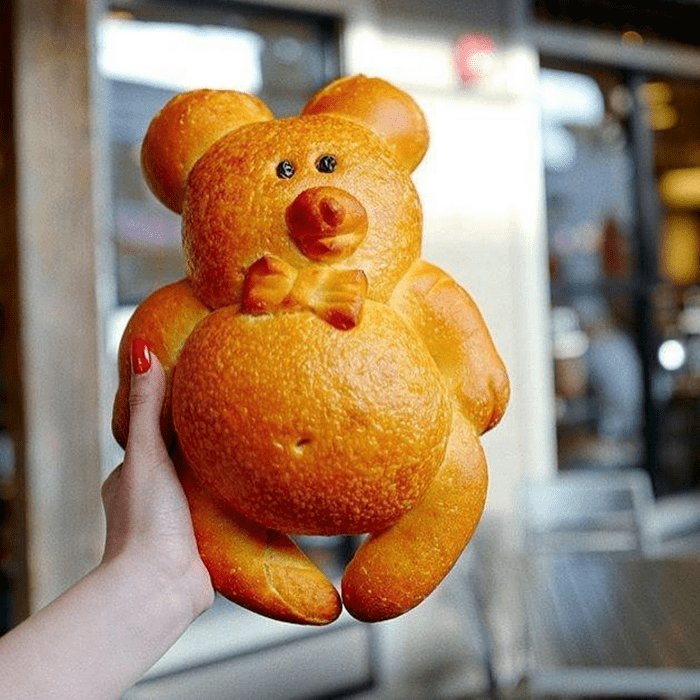 Person holding up a huge edible bear