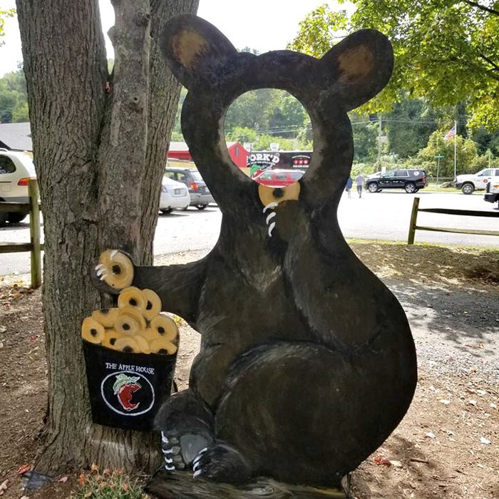 Cut-out of a bear for taking pictures with