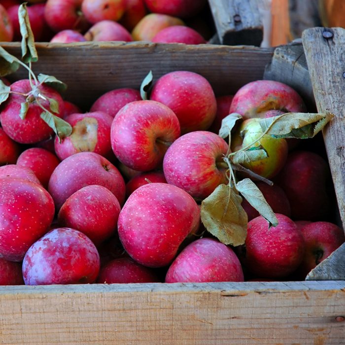 Winesap Apples in Packing Crate