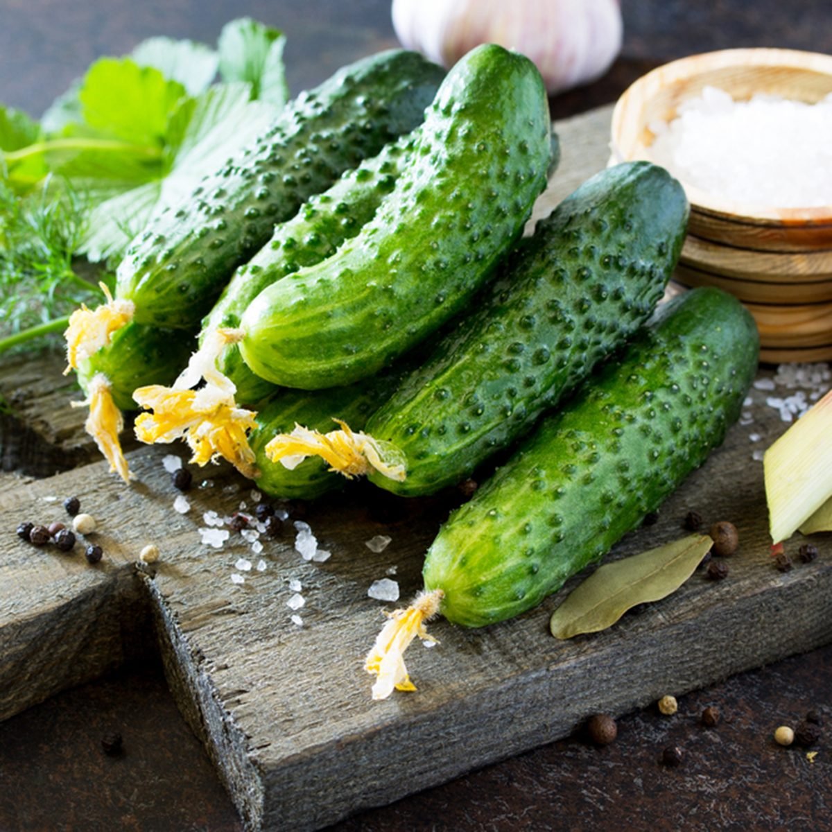 6 Popular Cucumber Varieties and How to Use Them