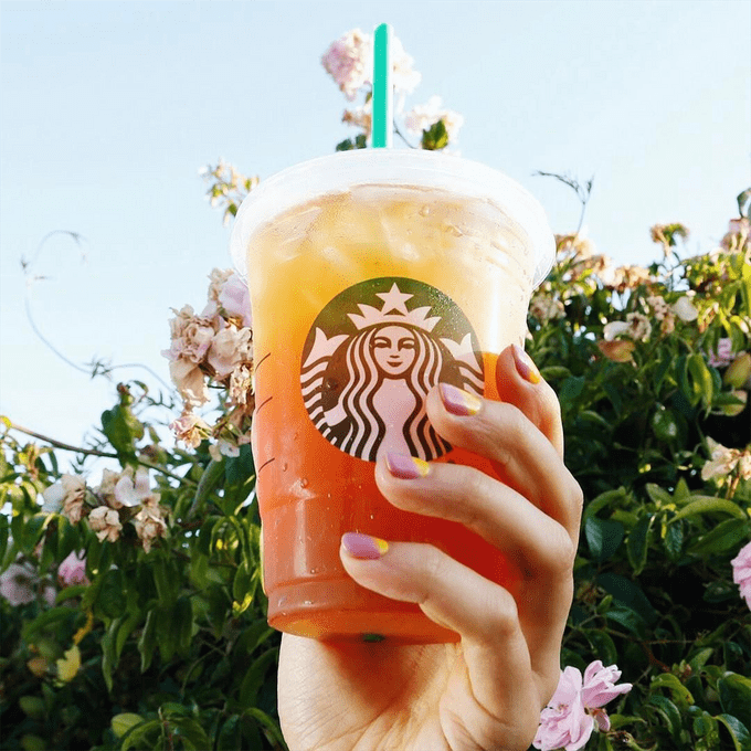 starbucks layered tea