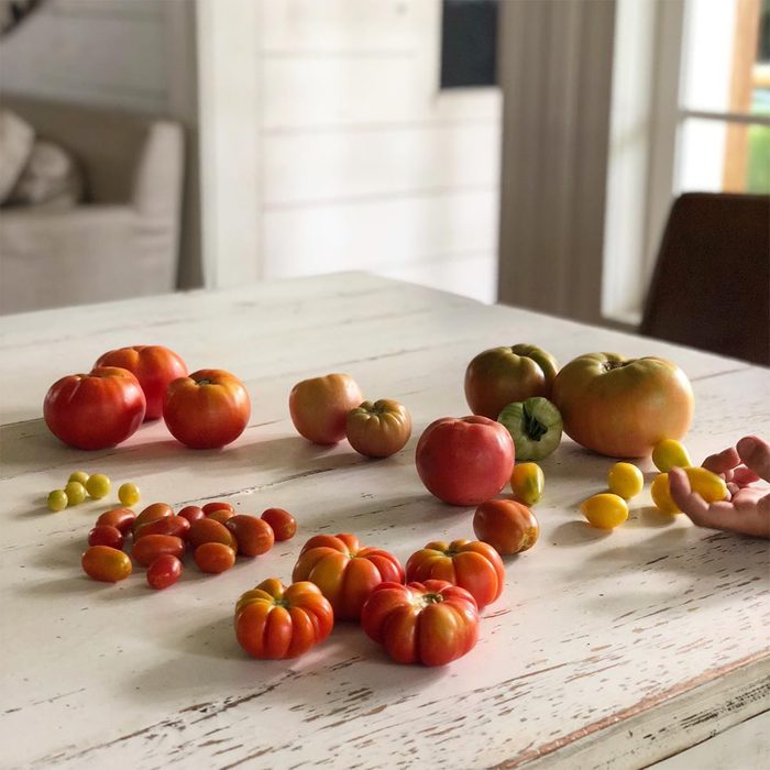 fresh tomatoes on table in farmhouse kitchen