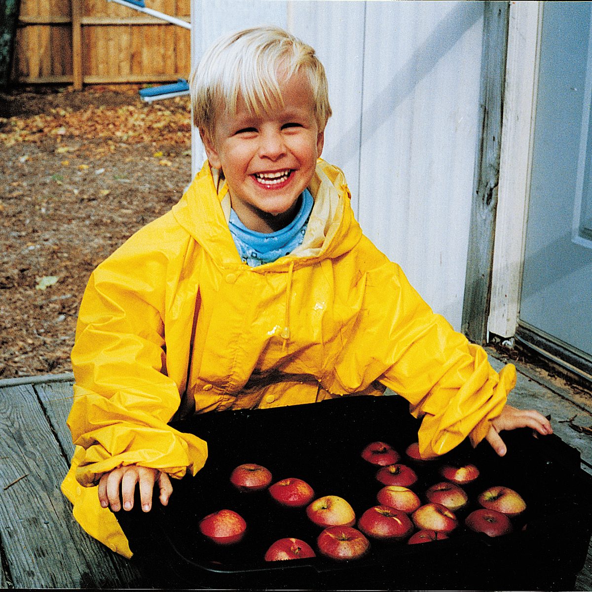 young boy bobbing for apples /COU Magazine/1998/November-1998/0405-6465_HiRes