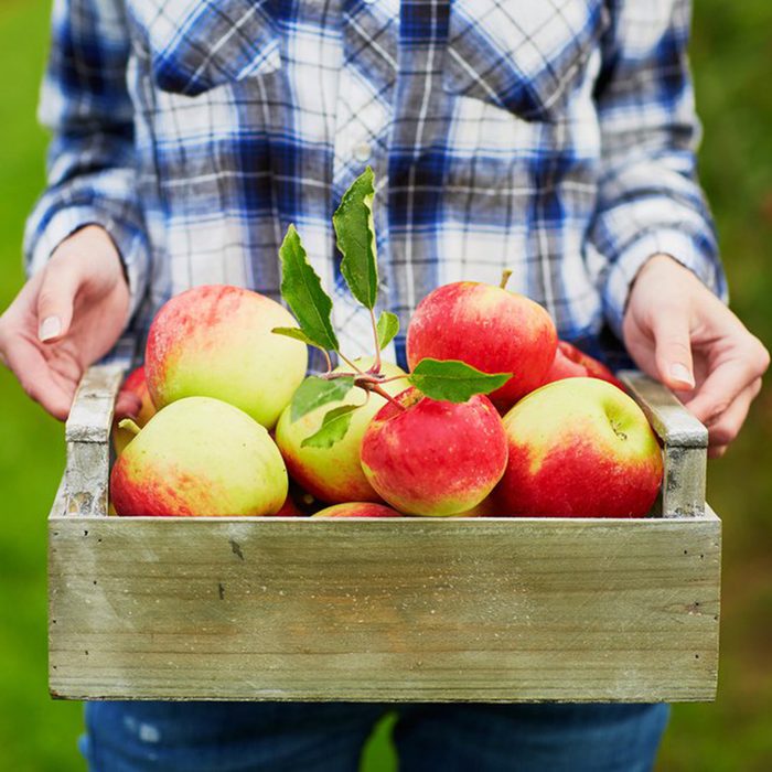 Woman holding crate full of apples